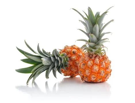 Pineapples Stock Photos