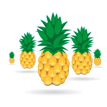 Pineapples with shadow on white background Illustrazione stock