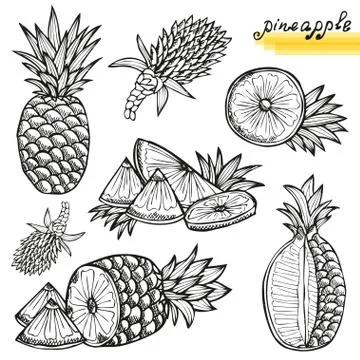 Pineapples sketches, design elements for cards, invitations, scrapbook, print Stock Illustration