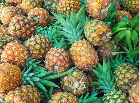 Pineapples stacked 스톡 사진