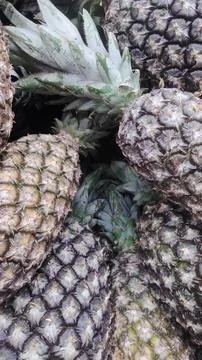 Pineapples on stand Stock Photos