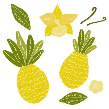 Pineapples. Tropical exotic set. Texture vector elements イラスト素材