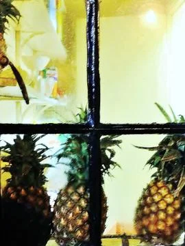 Pineapples by the window Stock Photos
