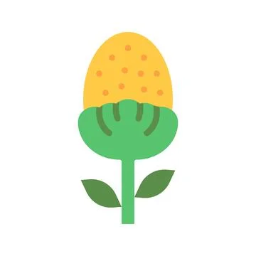 Pineappleweed Icon Image. Illustrazione stock