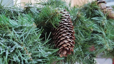 Pinecone Christmas tree Stock Footage 70975637