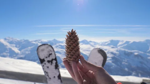 Pinecone Close-Up In Winter In The Snowy Mountains On The Background Of Skis Stock Footage 92032794