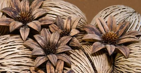The pinecone flower Stock Photos