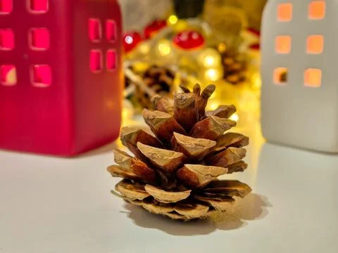 A pinecone Stock-Fotos