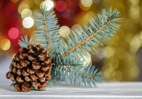 A pinecone. Spruce branch on blurred background. Stock Photos