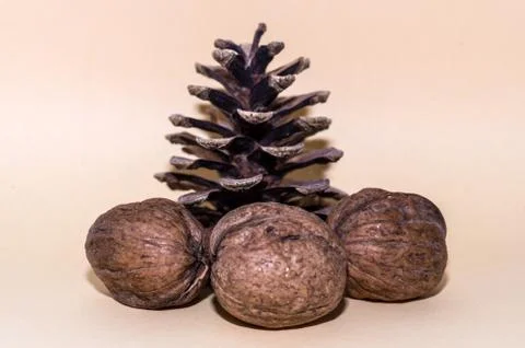 Pinecone, walnuts,christmas tree Stock Photos