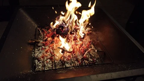 Pinecones in fire medium shot Stock Footage 103273365