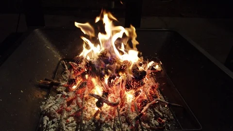 Pinecones in fire pit Stock Footage 103273445