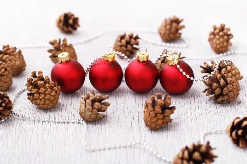 Pinecones on the floor Stock Photos