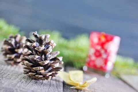 Pinecones Stock Photos