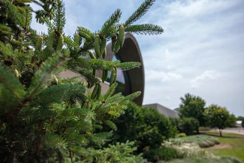 Pinecones at Strong Museum Stock Photos