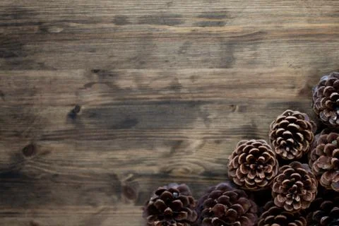 Pinecones on wood table flat lay for copy Stock Photos