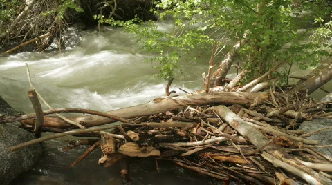 Pinecreek Rapids Stock Footage 785628