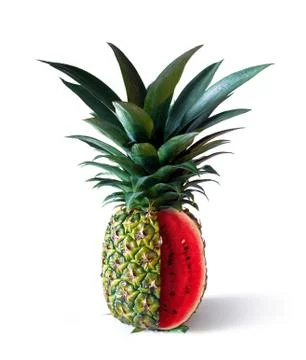 Pinemelon 2 Stock Photos