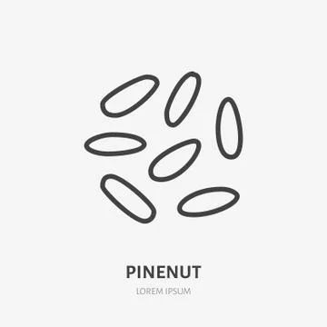 Pinenut flat line icon. Vector thin sign of nut, healthy food outline Stock Illustration