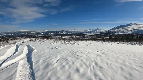 Pines and snow making a beautiful, peaceful winter scene in central Alaska Stock-Footage 342085327