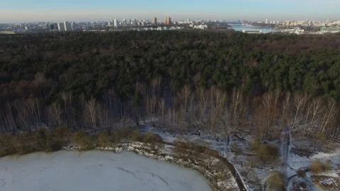 Pines and trees without leaves in the winter. Snowy park in the megapolis Stock Footage 70542234