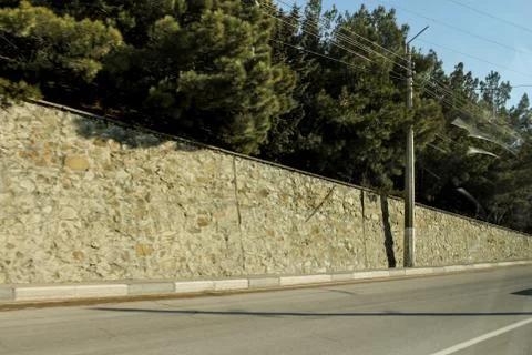 Pines over the wall. Stock Photos