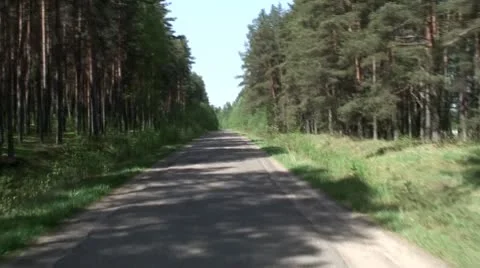 Pinewood Stock Footage 8916309