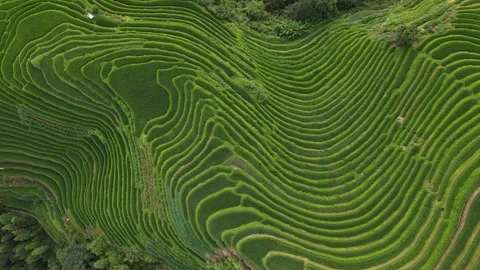 Ping'an paddy fields - Longsheng V2 - 平安 龙胜 Stock Footage 242467438
