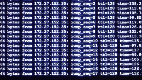 Ping request of computer node network on display, network, hacking, developer Stock-Footage 146334556