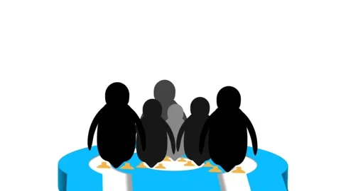 Pinguin Stock Footage 327940757