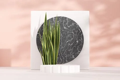 Pink 3D rendering illustration of Eucalyptus cinerea and copy space arch podium 스톡 일러스트