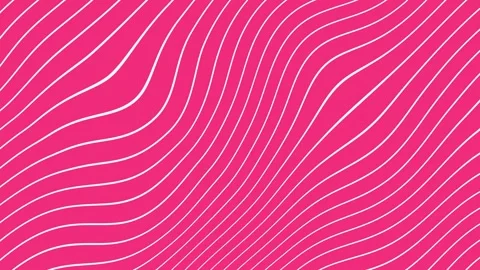 Pink abstract background, with animated wavy, white lines motion Video stock 347301051