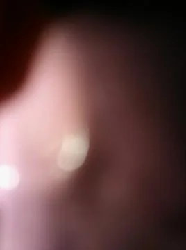 Pink Abstract Background with Different elements and close up effect Stock Photos