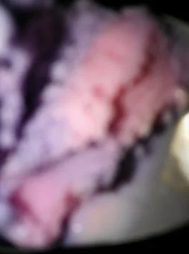 Pink Abstract Background with Different elements and close up effect Stock Photos