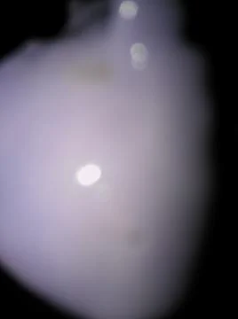 Pink Abstract Background with Different elements and close up effect Stock Photos