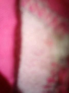 Pink Abstract Background with Different elements and close up effect 스톡 사진