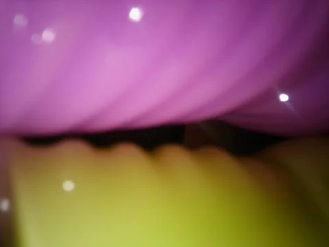 Pink Abstract Background with Different elements and close up effect Stock Photos