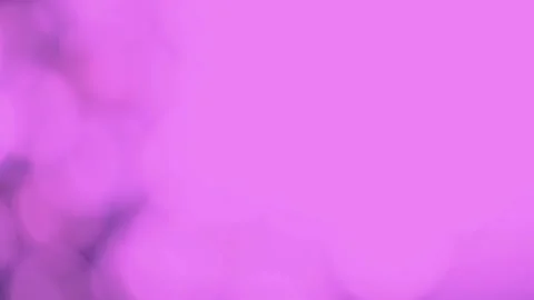 Pink abstract bokeh background  with light effects Stock Footage 190609706
