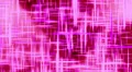 Pink Abstract Data Spark Motion Background Loop HD Footage
