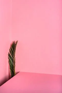 Pink abstract decorative  Background.Creative layout copy space. Stock Photos