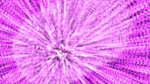 Pink abstract light bursts moving fast through dark background cinematic moti Stock Footage 342508067