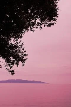 Pink abstraction Stock Photos