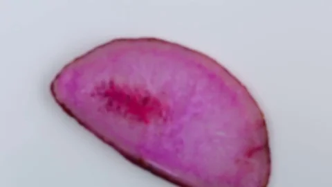 Pink agate stone slice . approximation Stock Footage 72653471