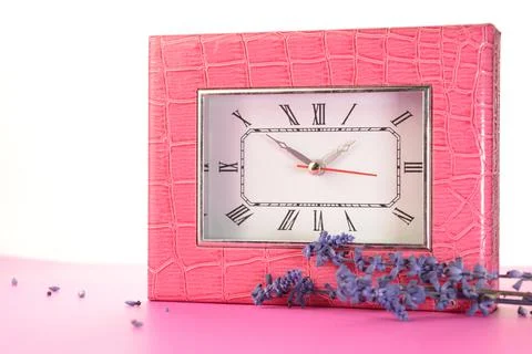Pink Alligator Clock Stock Photos