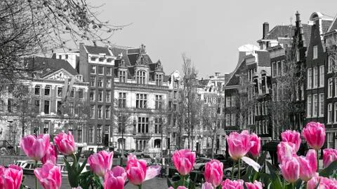 Pink Amsterdam Foto stock