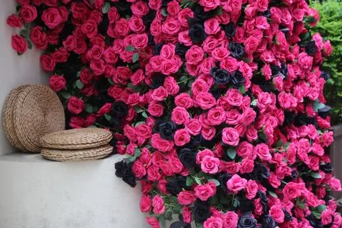 Pink and black artificial rose wall with woven straw cushions on a narrow o.. Stock Photos