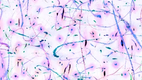 Pink and blue multicolored scribbled pencil crayon lines stopmotion animation Video stock 323832066