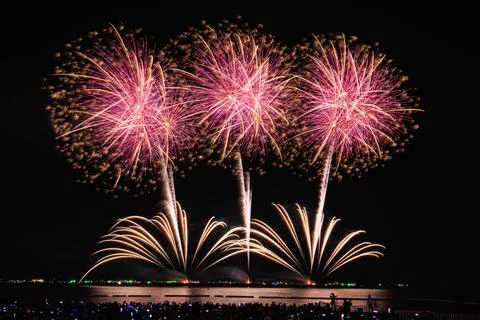 Pink And Gold Fireworks Exploding Over Silhouetted Audience At Night Wide Sho Stock Photos
