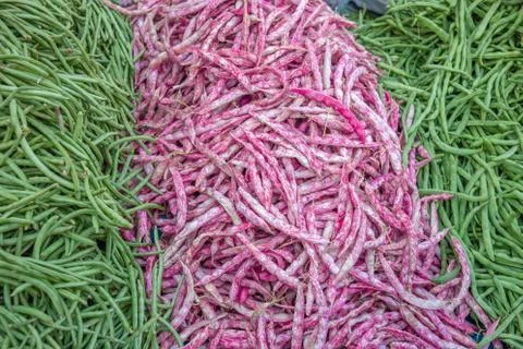 Pink and green colored string beans background. Vegetarian food ingredients. 写真素材
