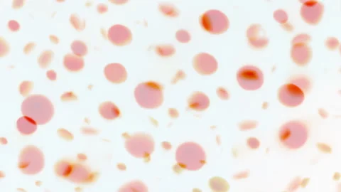 Pink and Orange Halftone Pattern on a White Background Stock Footage 304983687